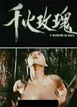 美丽的谎言电视剧